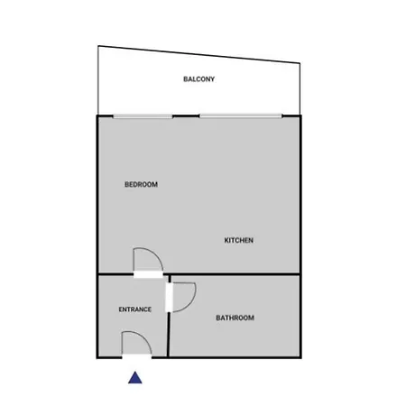 公寓 Blueground Prague 3 Balcony Parking Prg-39 布拉格